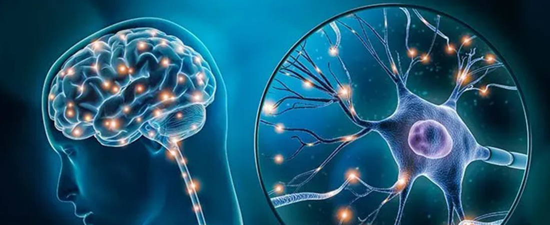 Best Alzheimer’s doctor Texas